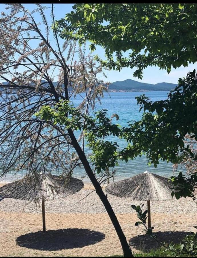 Luxury Majpruz Suites I Zadar Exterior foto